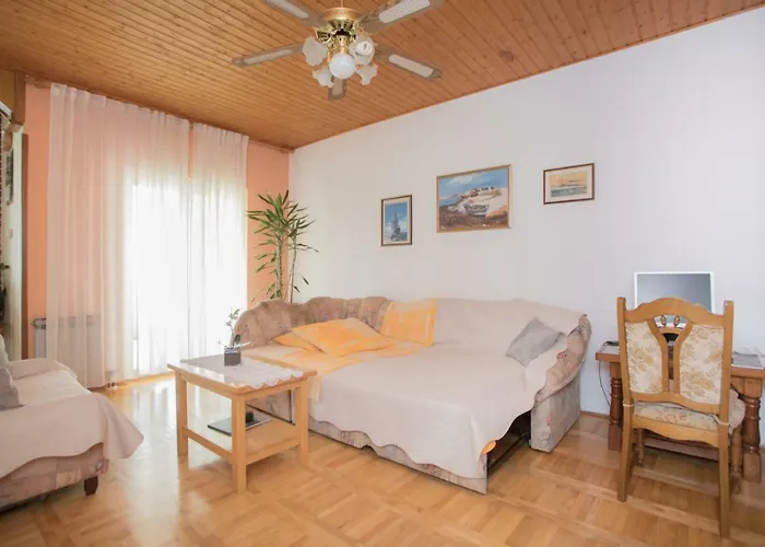 Appartement Branko Lemac *